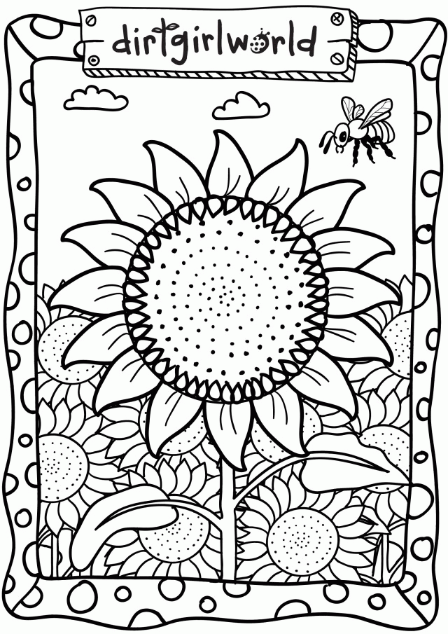 Plansa de colorat cu Floarea Soarelui 29 22